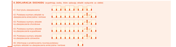 sekcja X zus dra